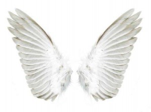 крылья ангела